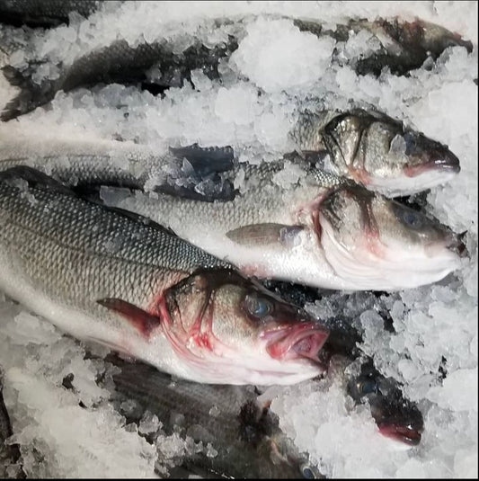 Whole Cleaned Branzino (1pc)