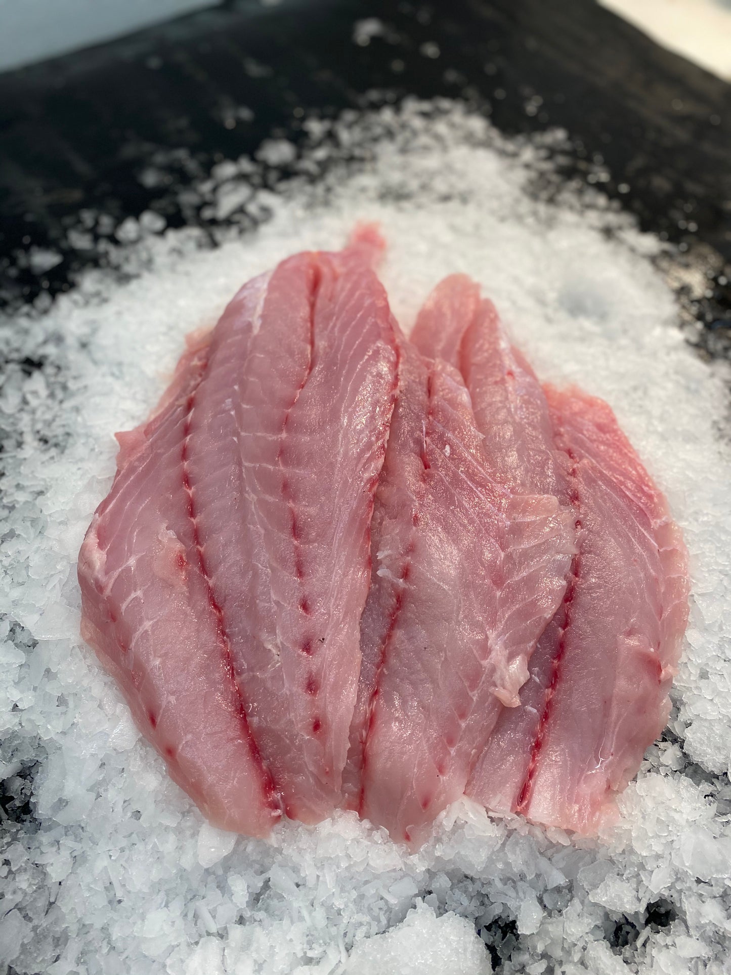 Wild Caught Grouper (2pc-8oz each)